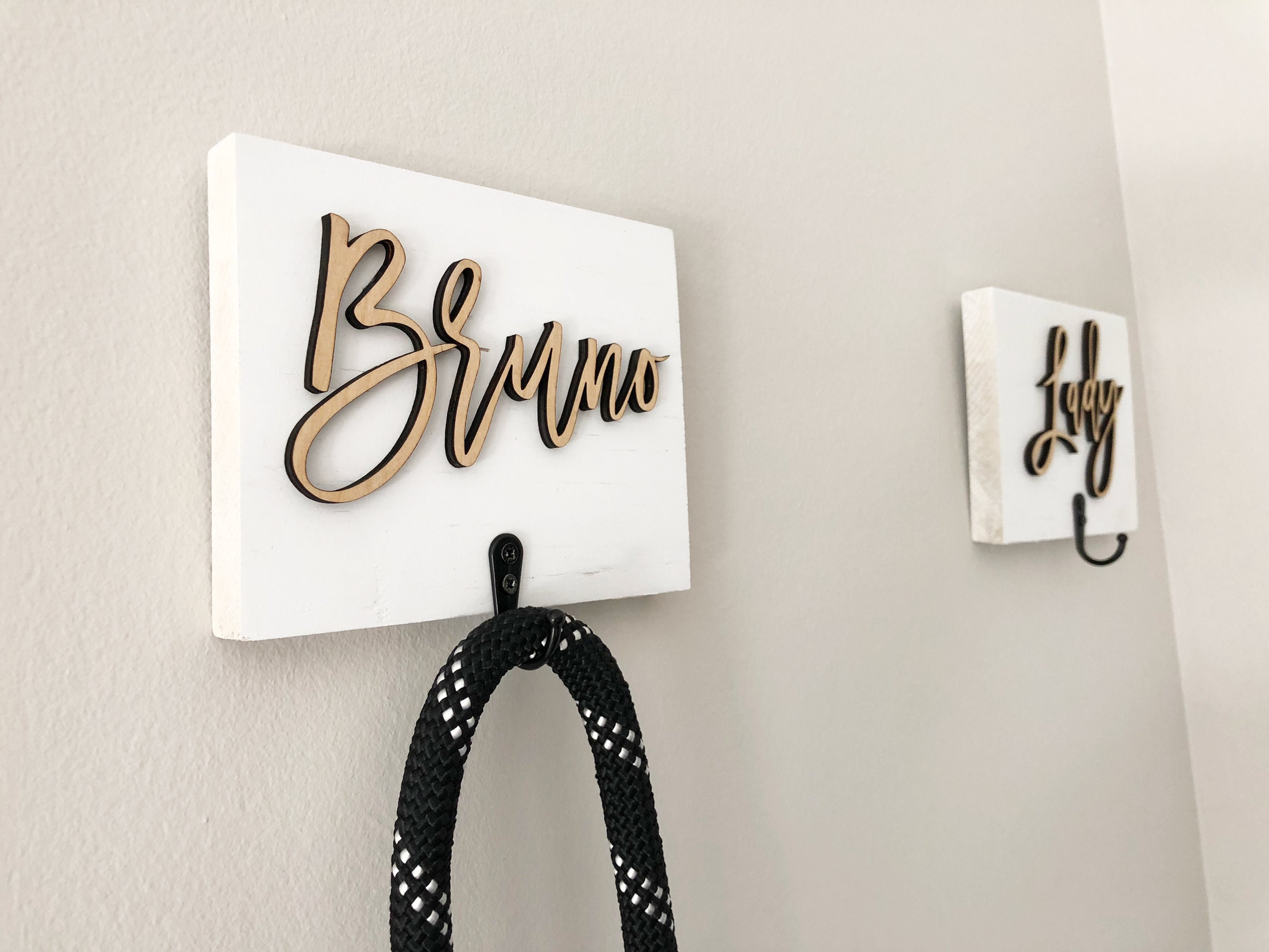 personalized leash holder