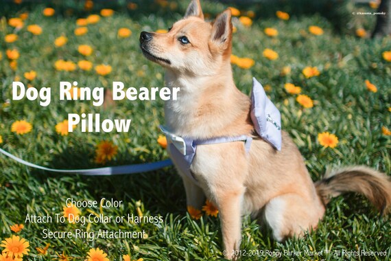 Dog Ring Bearer Ring Pillow Only Choose Color Secure Etsy