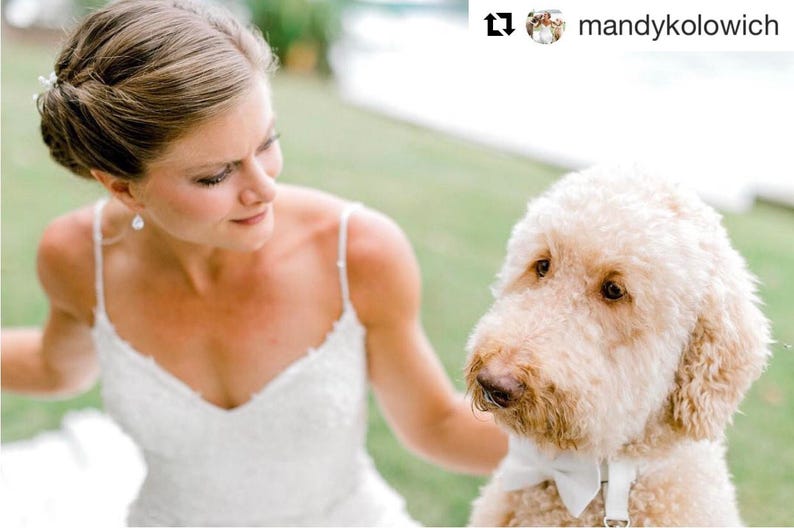 Original Dog Ring Bearer Ring Holder ATTACHMENT ONLY Secure Removable Attachment Wedding Dog