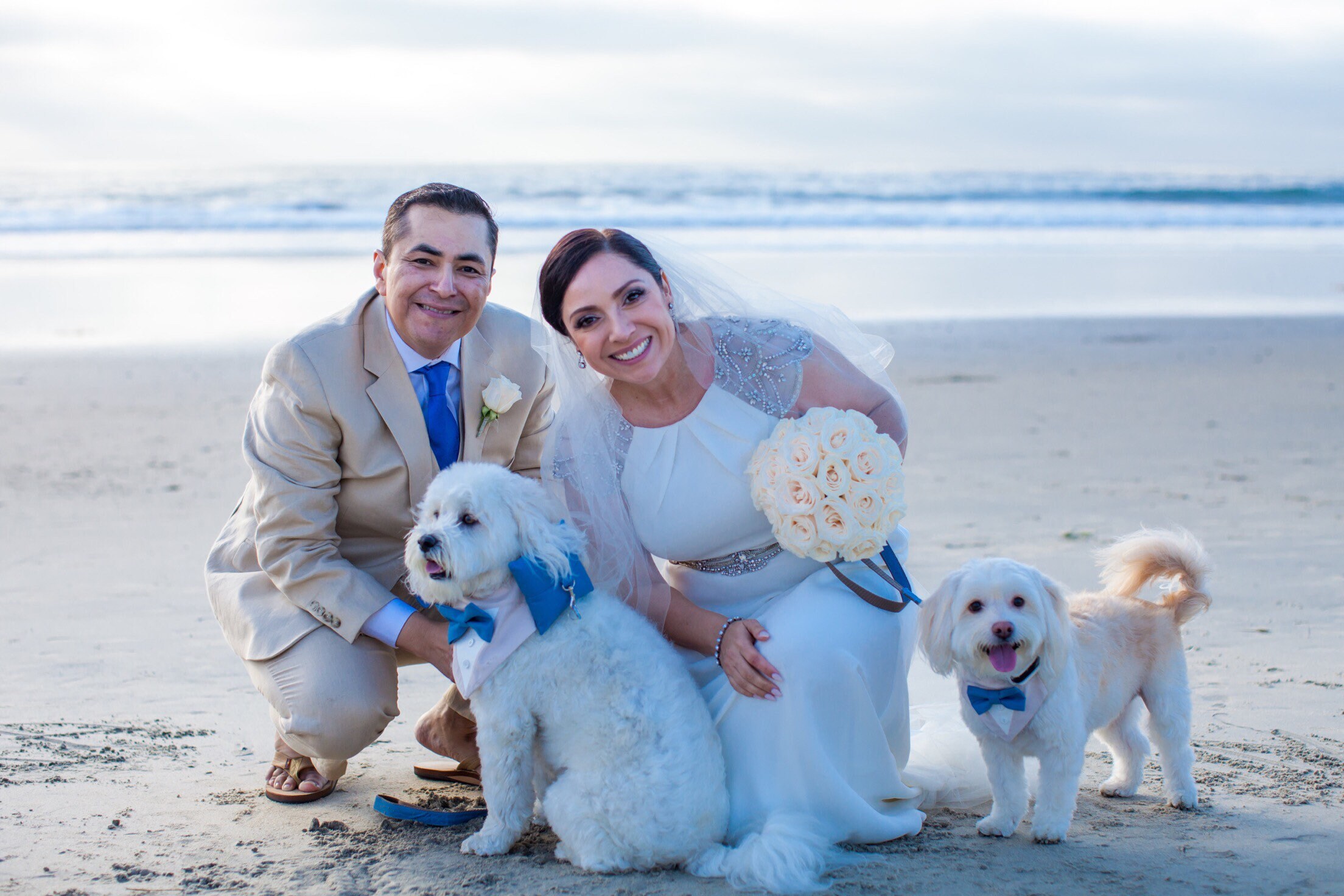 Dog Ring Bearer Ring Pillow Only Choose Color Secure Removable
