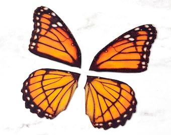 Op de afbeelding: Vier oranje en zwarte vlinder vleugels met een gedetailleerd aderspatroon. De vleugels zijn uitgesneden en klaar om te worden gebruikt voor een knutselproject.