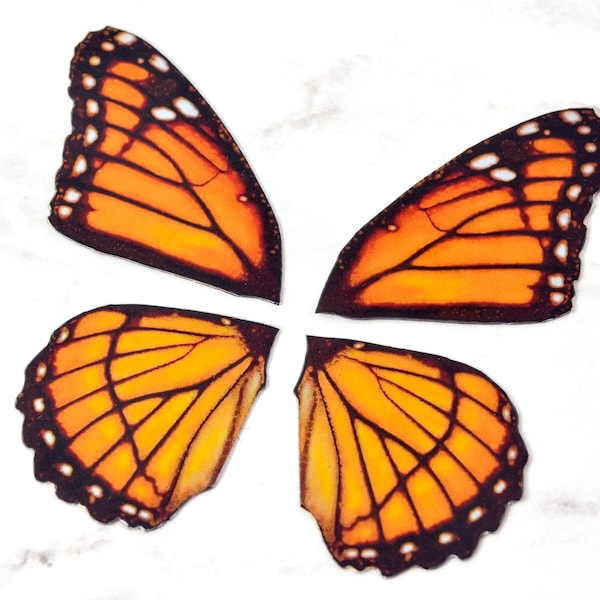 Miniature monarch butterfly wings for crafting - colorful iridescent orange wings - small craft wings