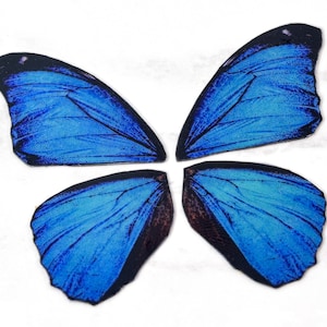Miniature blue morpho butterfly wings for crafting - colorful iridescent blue wings - small craft wings