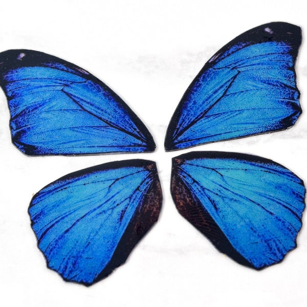 Miniature blue morpho butterfly wings for crafting - colorful iridescent blue wings - small craft wings