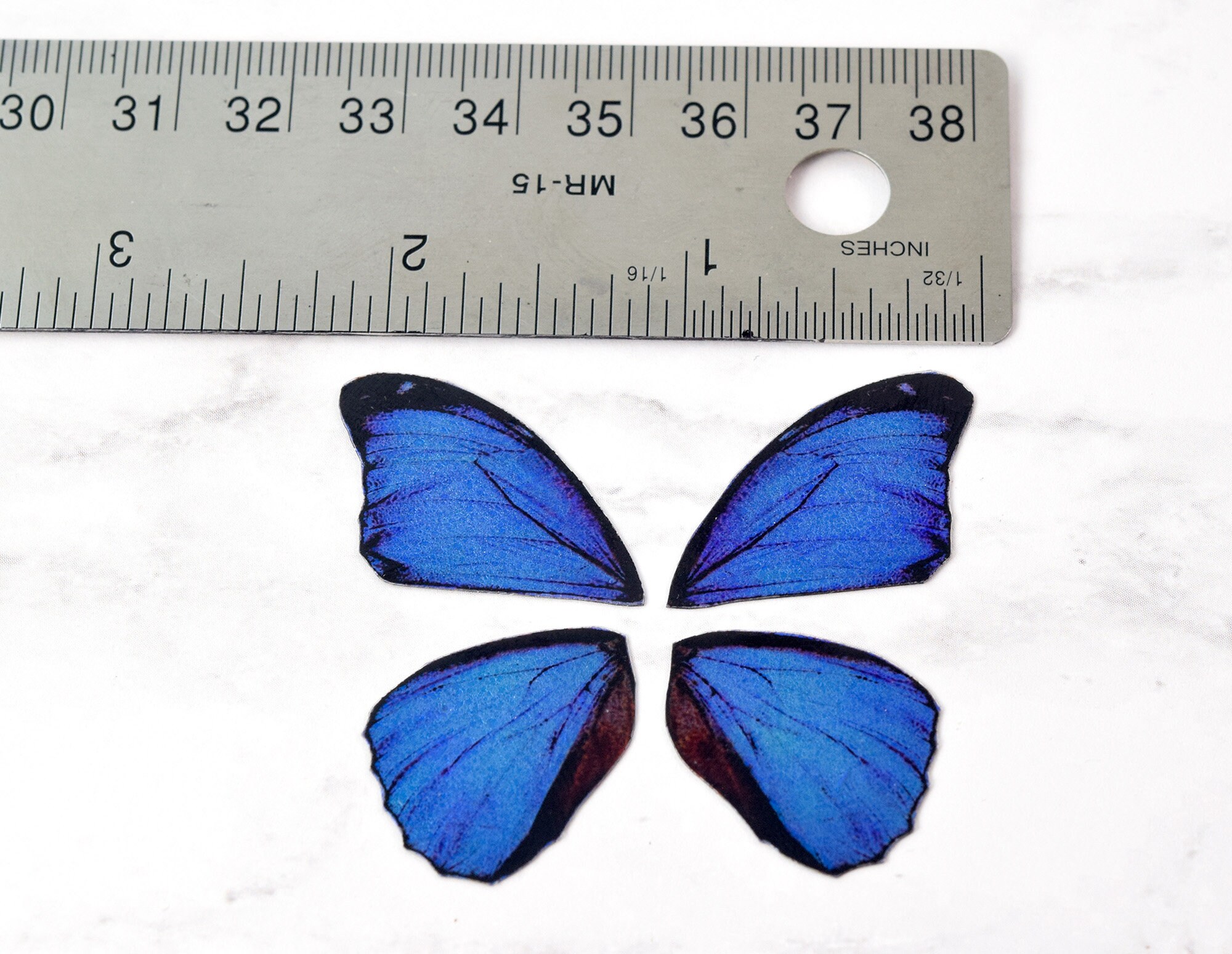虹色に輝く青いモルフォ蝶の羽：キラキラ輝く小さなプラスチック製の