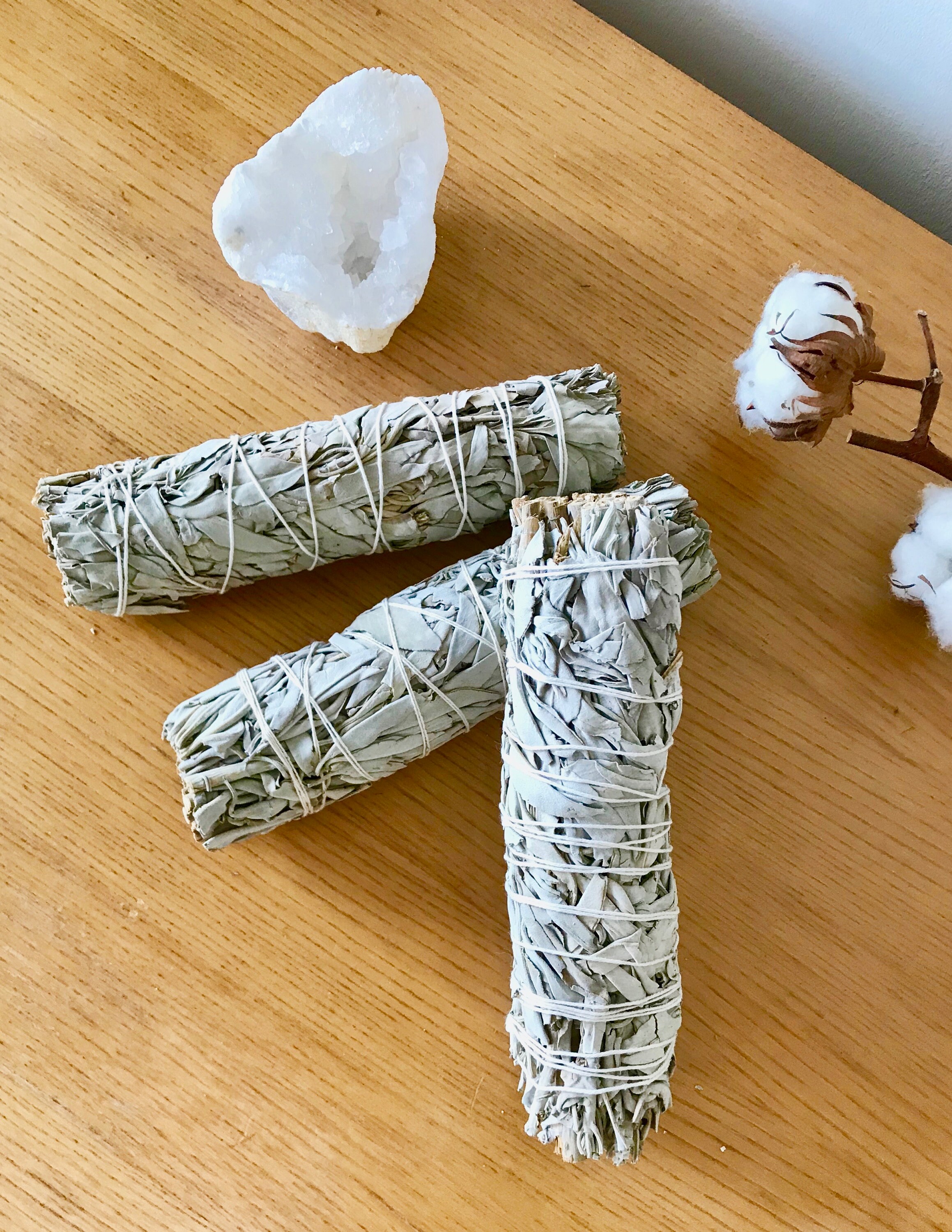 Sauge Blanche Californie 20cm