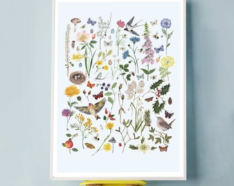 Seasons giclee print, British plant and wildlife, educational poster, wall art, nature poster