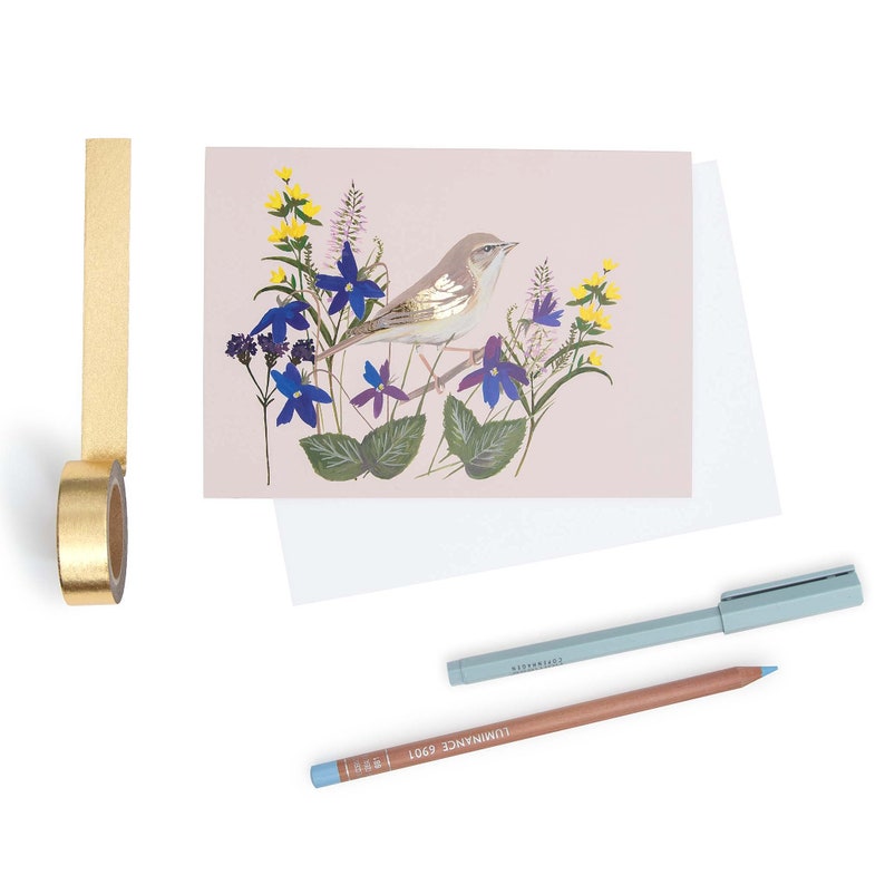 Choose any 5 bird illustrated cards beautiful blank cards by Particle Press