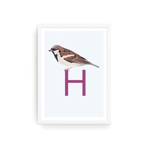 House Sparrow Letter H Print: Monogram Wall Art