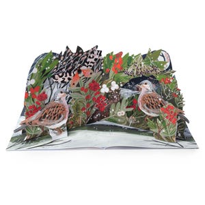 May include: A 3D pop-up card depicting a winter scene with two birds. The card features a snowy base, red berries, and green foliage. The birds have brown and white plumage. The background includes a dark night sky and a leopard print pattern.
