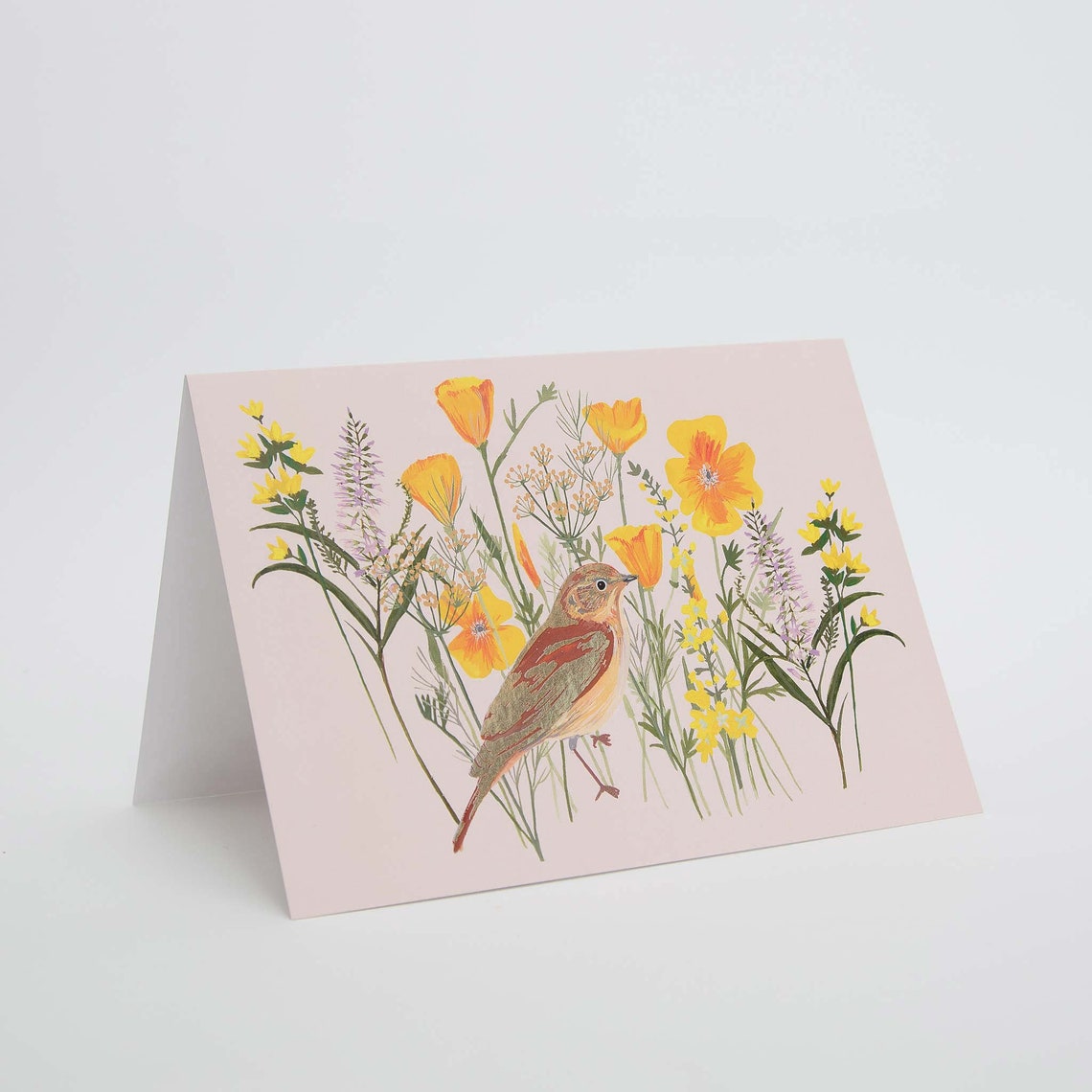 Any Occasion Cards Packs Of 5 Cards Greetings Cards Notecards Etsy UK any-occasion-cards-packs-of-5-cards-greetings-cards-notecards-etsy-uk
