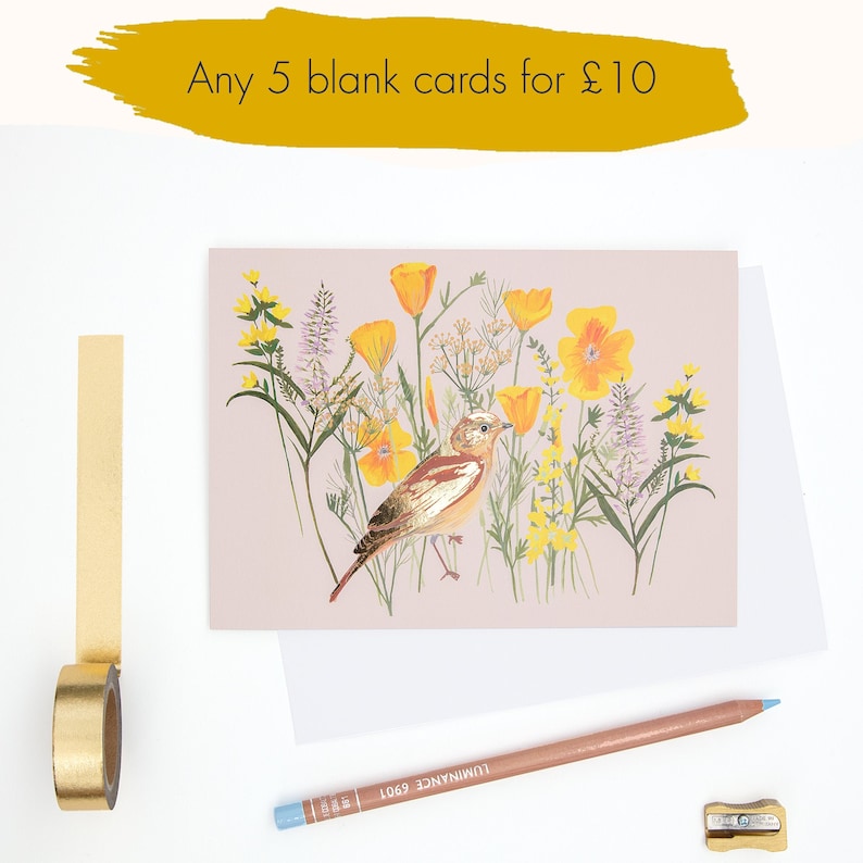 Choose any 5 bird illustrated cards beautiful blank cards by Particle Press