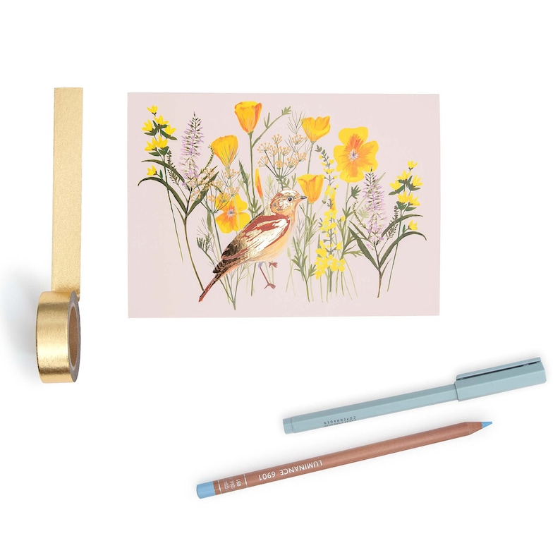 Choose any 5 bird illustrated cards beautiful blank cards by Particle Press