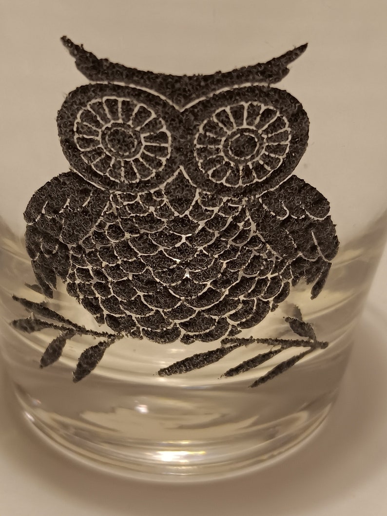 Owl Rocks Old Fashioned Glasses by West Virginia Glass Vintage from the 1970s Set of 2 image 2