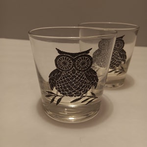 Owl Rocks Old Fashioned Glasses by West Virginia Glass Vintage from the 1970s Set of 2 image 1