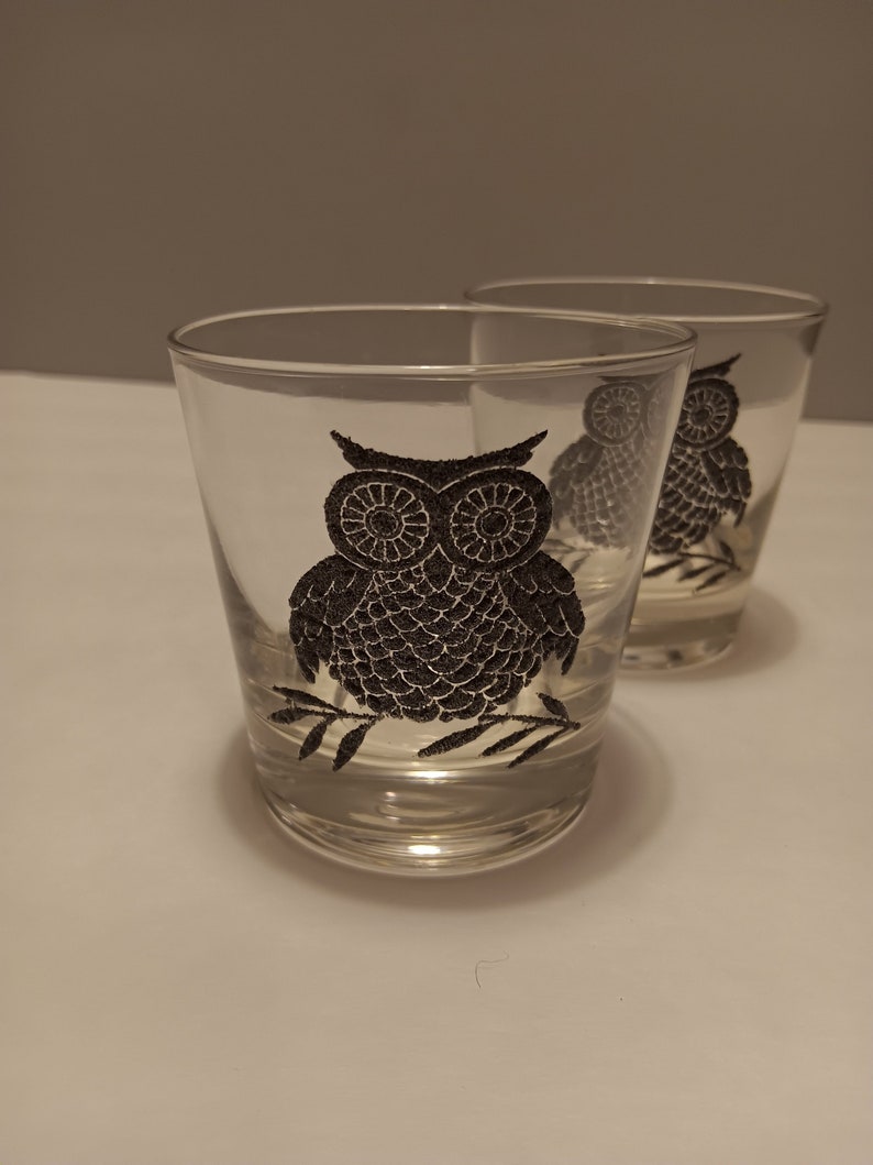 Owl Rocks Old Fashioned Glasses by West Virginia Glass Vintage from the 1970s Set of 2 image 1