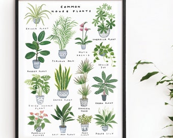 House Plants Poster Print, Botanical Art Illustration, A3 A2 A1 Sizes, Tropical Leafy Watercolour Painting by Kate Sampson, Green Colours