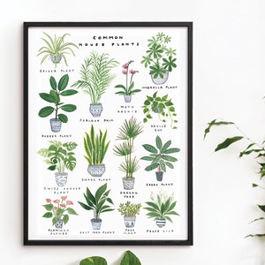 House Plants Poster Print, Botanical Art Illustration, A3 A2 A1 Sizes, Tropical Leafy Watercolour Painting by Kate Sampson, Green Colours