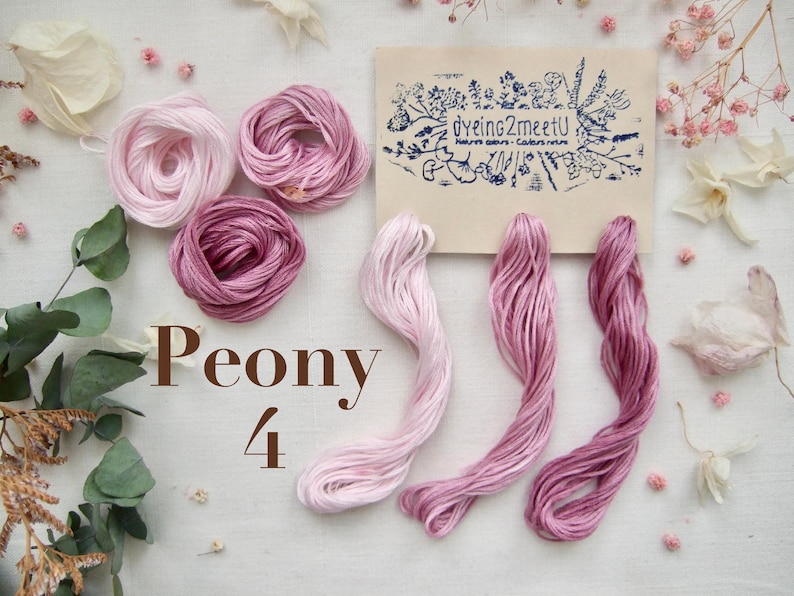 Trois échevettes de fil de coton à broder 6 brins moulinés de 8 mètres chacun, dans des tons gradués de rose.
Les fils sont présentés sur une carte avec la marque "Dyeing2meetU". Ils sont teints à la main en France. Pour commander il faut sélectionner "4 - Peony"