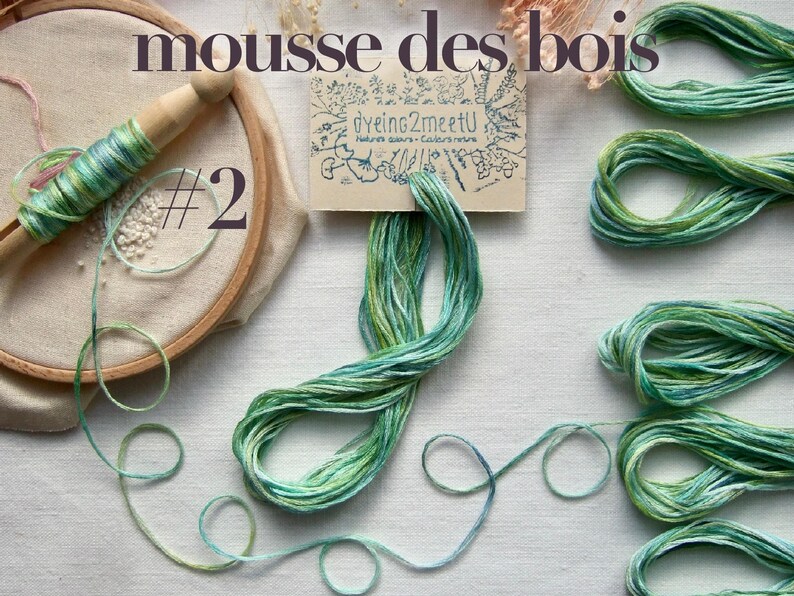 Un cercle à broder avec un manche en bois contient un motif partiellement brodé. Du fil à broder vert et bleu est présenté, ainsi qu'une carte avec l'inscription "dyeing2meetU". Le texte "mousse des bois" et le numéro "#2" sont également visibles.