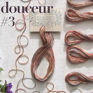 Plant dyed variagated floss, 1 skein of graded tones each 8.7 yd (8m), 6 strand thread, 100% cotton from France