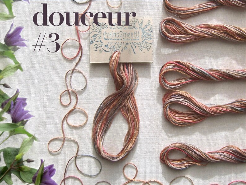 Plant dyed variagated floss, 1 skein of graded tones each 8.7 yd (8m), 6 strand thread, 100% cotton from France
