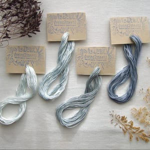 Peut inclure: Quatre écheveaux de fil à broder dans des nuances de bleu variées, allant du bleu glacier pâle au bleu ardoise moyen. Chaque écheveau est fixé sur une carte rectangulaire beige portant le texte "dyeing2meetU" et des illustrations botaniques.