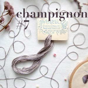 Un écheveau de fil à broder gris étiqueté "champignon #7" avec une petite étiquette de "dyeing2meetU". L'image comprend des brins de fleurs séchées et un cercle à broder partiellement visible, suggérant un thème botanique de broderie.