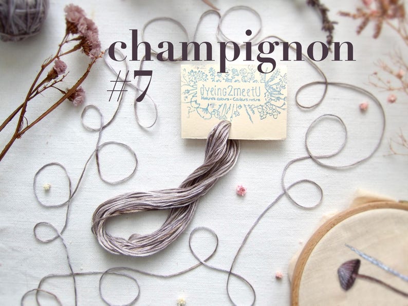 Un écheveau de fil à broder gris étiqueté "champignon #7" avec une petite étiquette de "dyeing2meetU". L'image comprend des brins de fleurs séchées et un cercle à broder partiellement visible, suggérant un thème botanique de broderie.