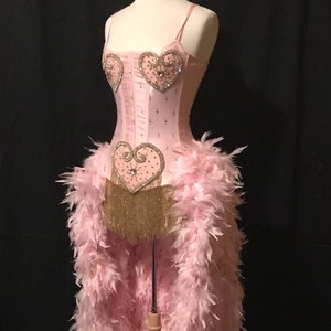 Pick Size XS-3X-Movie Inspired Pink Showgirl Saloon Girl  Burlesque Costume w/Feather Train