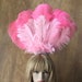 see more listings in the Headpieces/Wings/Fans section