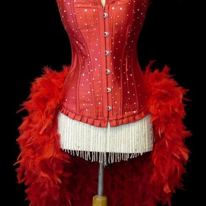 Pick Size-Red Scattered Crystal Pin Up Showgirl Saloon Girl Can Can Burlesque Costume w/Feather Train image 1