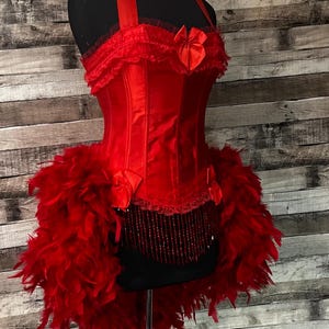 Pick Size-Traditional Red Victorian Lace  Burlesque Carnival Circus Costume Feather