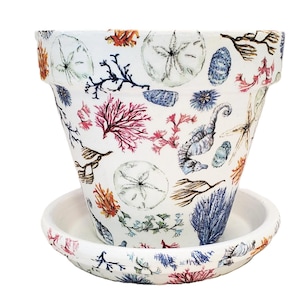 May include: White ceramic plant pot with a matching saucer, decorated with colourful sea life illustrations. The design includes seahorses, sand dollars, coral, and other marine elements. The pot has a wide opening and a slightly textured surface.