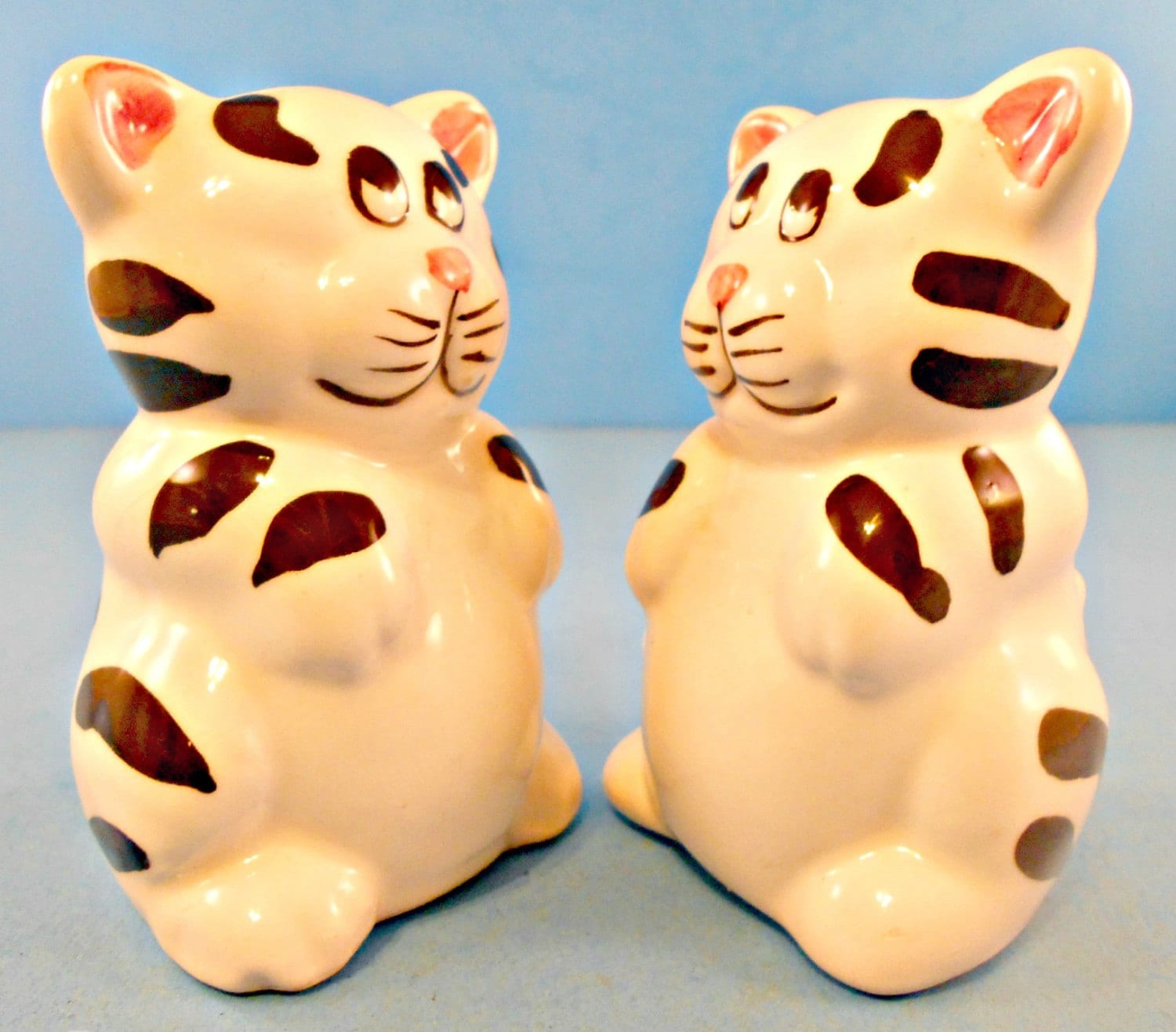 Ceramic Cat Salt and Pepper Shakers Black and White Striped Etsy