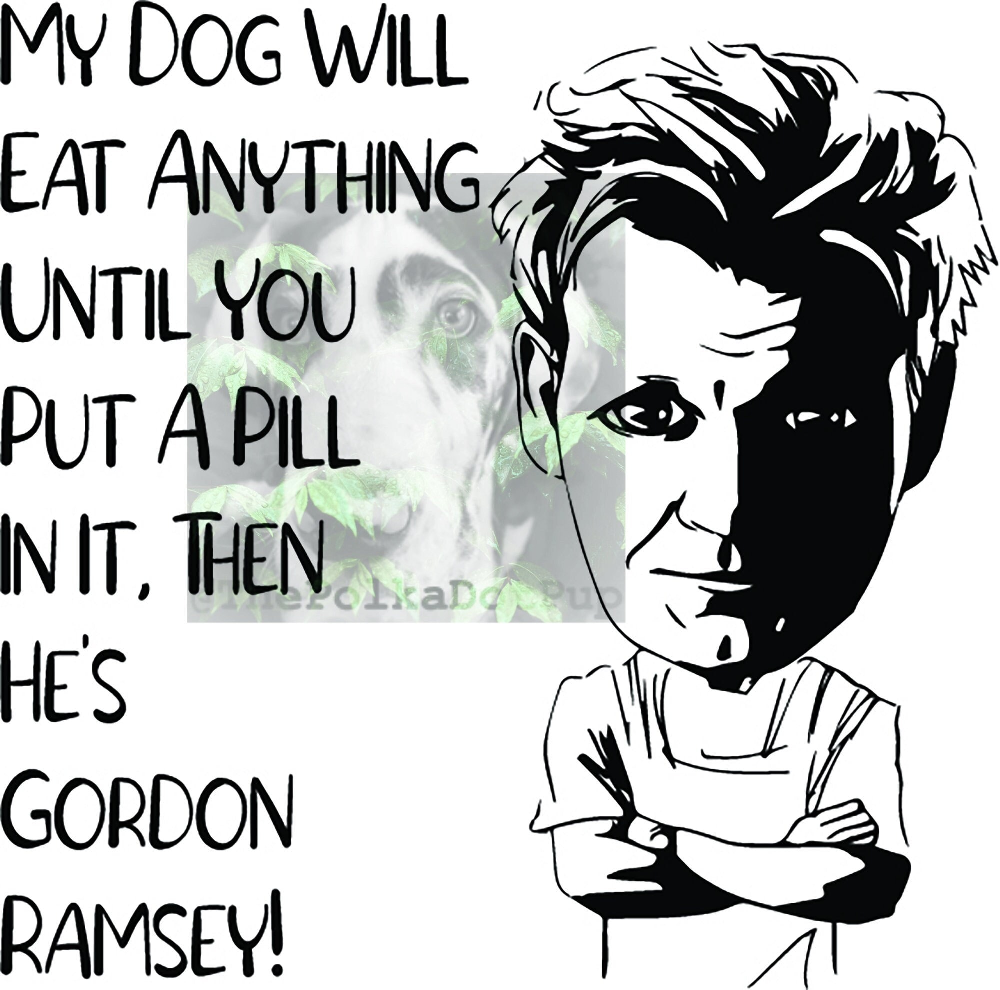 Why Does My Dog Eat Everything