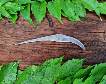 Crows hook mushroom knife