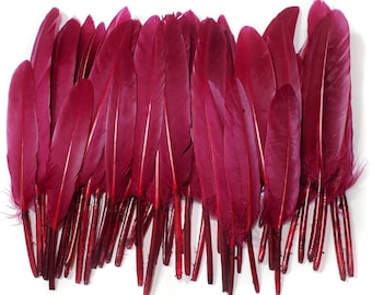 10 pcs Burgundy Duck Feathers 4-6" Dyed Duck Loose Wholesale Cochettes Bulk Feathers