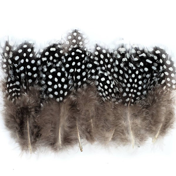 20 pcs Natural Guinea Feathers 1-4" Stripped Small Body Plumage Feathers