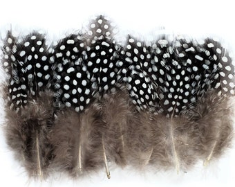 20 pcs Natural Guinea Feathers 1-4" Stripped Small Body Plumage Feathers