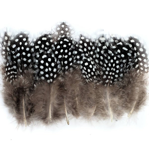 50 pcs Natural Guinea Feathers 1-4" Stripped Small Body Plumage Feathers