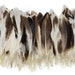 see more listings in the Duck Feathers section