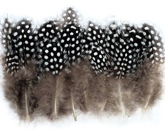 50 pcs Natural Guinea Feathers 1-4" Stripped Small Body Plumage Feathers