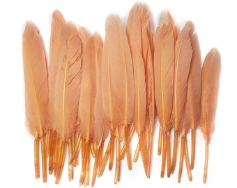 10 pcs Peachy Pink Duck Feathers 4-6" Dyed Duck Loose Wholesale Cochettes Bulk Feathers