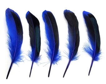 10 pcs Dark Blue Duck Feathers 4-6" Dyed Duck Loose Wholesale Cochettes Bulk Feathers