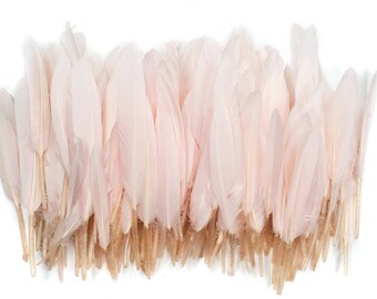 10 pcs Light Pale Pink Duck Feathers 4-5.5" Dyed Duck Loose Wholesale Cochettes Bulk Feathers