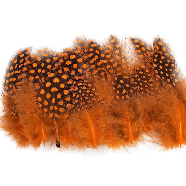 50 pcs Orange Guinea Feathers 1-4" Stripped Small Body Plumage Feathers