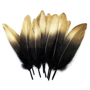 Gold Tip Black Goose Feathers, 10 Pieces, 6-8" Inches