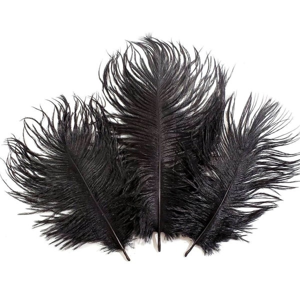 10 pcs Black Ostrich Feathers 6-8" Dyed Wedding Craft Carnival Centerpiece Feathers