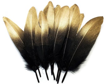 Gold Tip Black Goose Feathers, 10 Pieces, 6-8" Inches